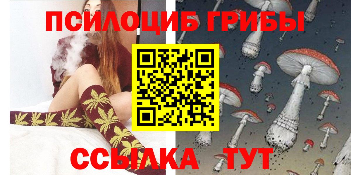 Галлюциногенные грибы Psilocybine cubensis Избербаш
